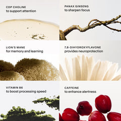 Close-up of Thesis Clarity label