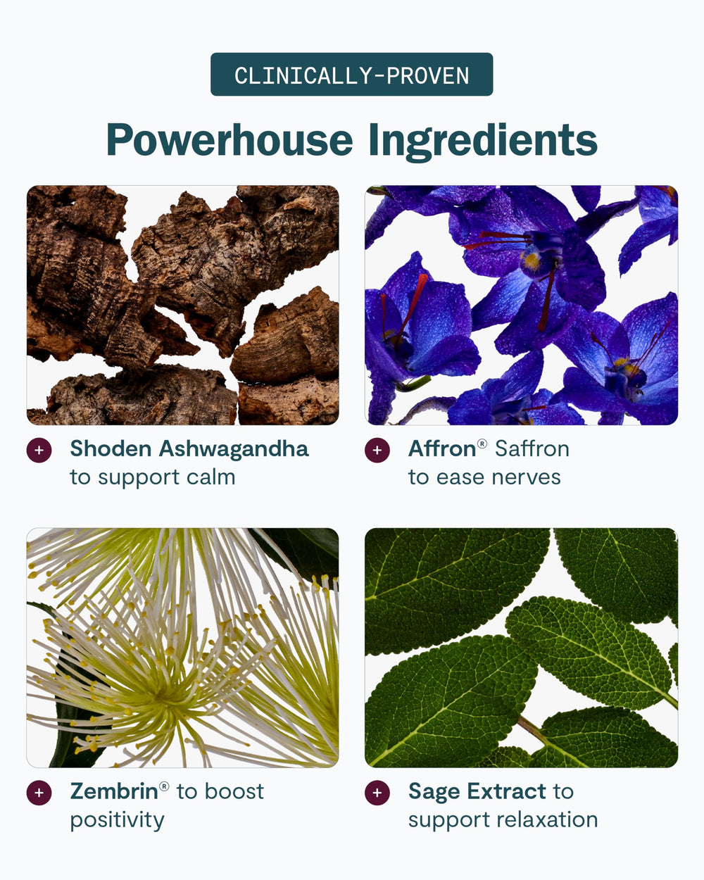 Optional caffeine capsule for Thesis Confidence