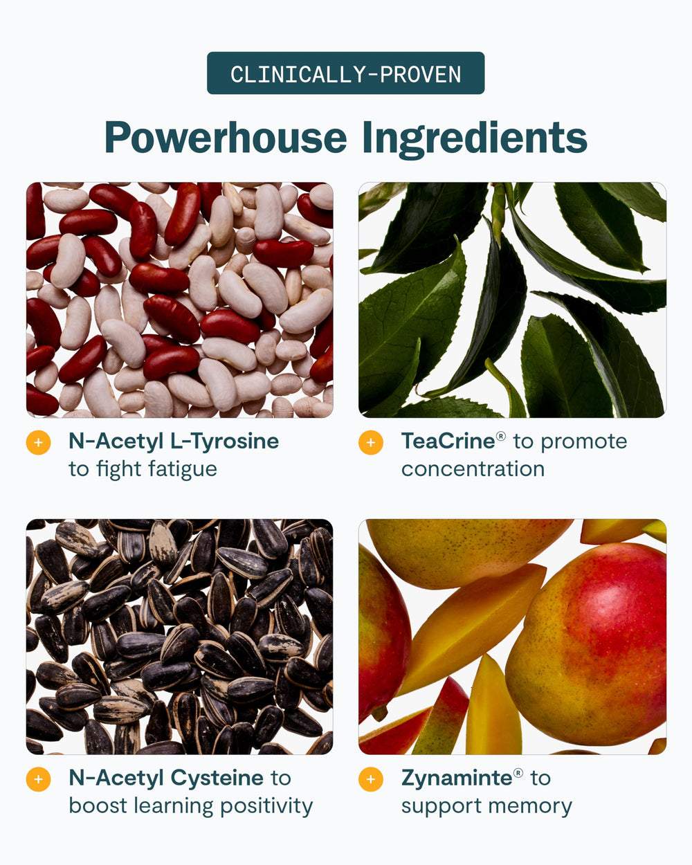 THESIS Energy daily-routine-scene depicts a six-on, one-off habit for consistent cognitive support.