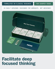 Ginkgo biloba and Bacopa Monnieri herbs illustration