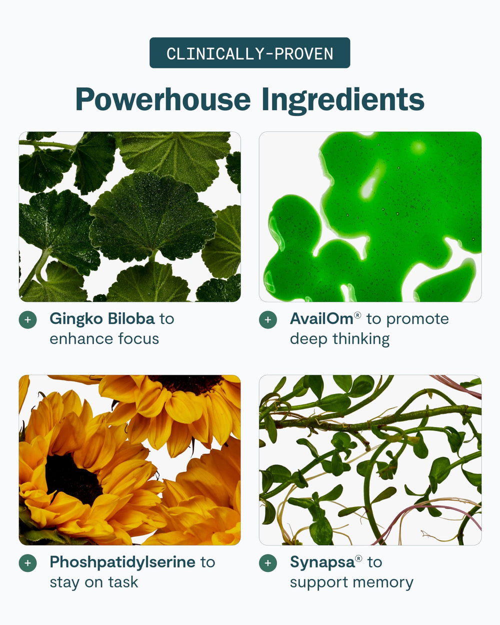 Concept image of deep focus and sharp thinking