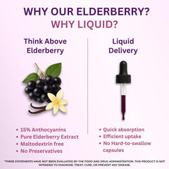 Close-up of label highlighting 72:1 Sambucus nigra extract and 15% anthocyanins