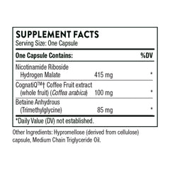 Brain Factors capsules displayed beside the bottle
