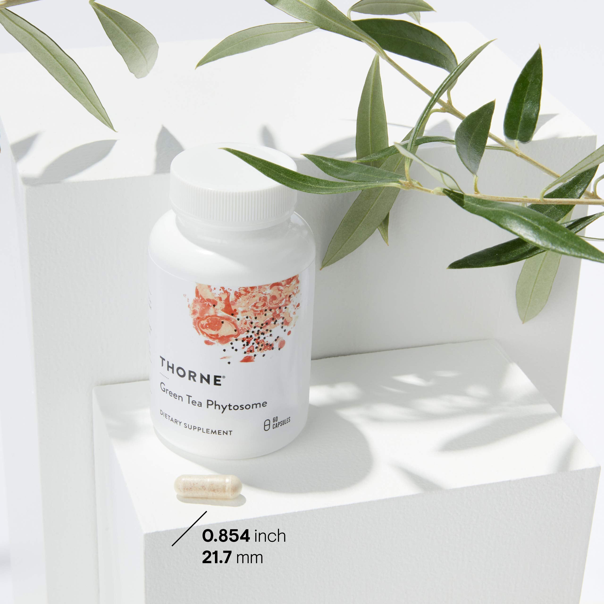 Illustration showing phytosome technology binding green tea to phospholipids