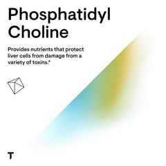 Illustration of liver health benefits from phosphatidylcholine