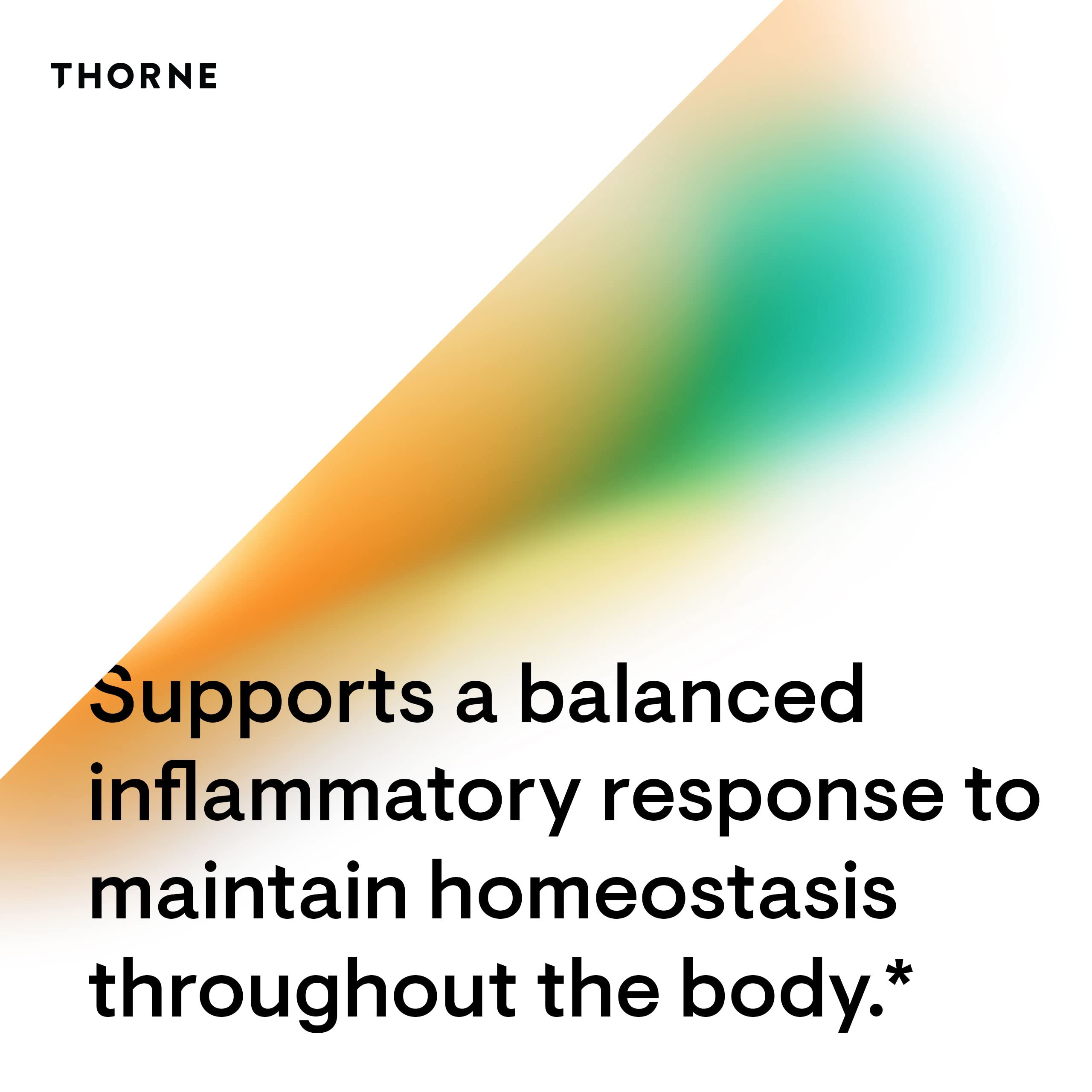 Illustration showing THORNE supporting brain health