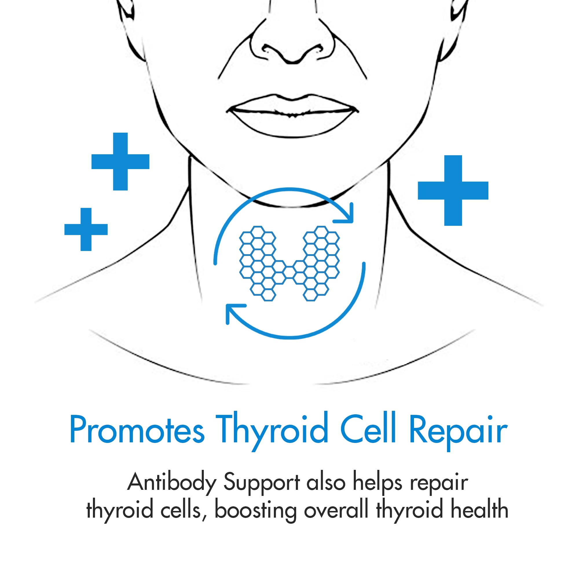Thyroid Specific Formulations bottle on counter suggesting daily routine support