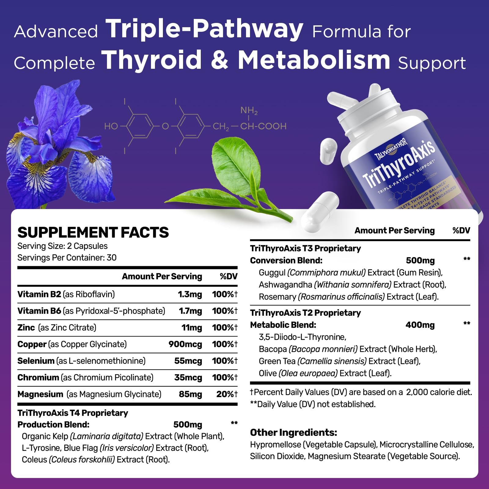 Infographic showing three thyroid pathways: T4, T3, T2