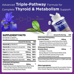 Infographic showing three thyroid pathways: T4, T3, T2