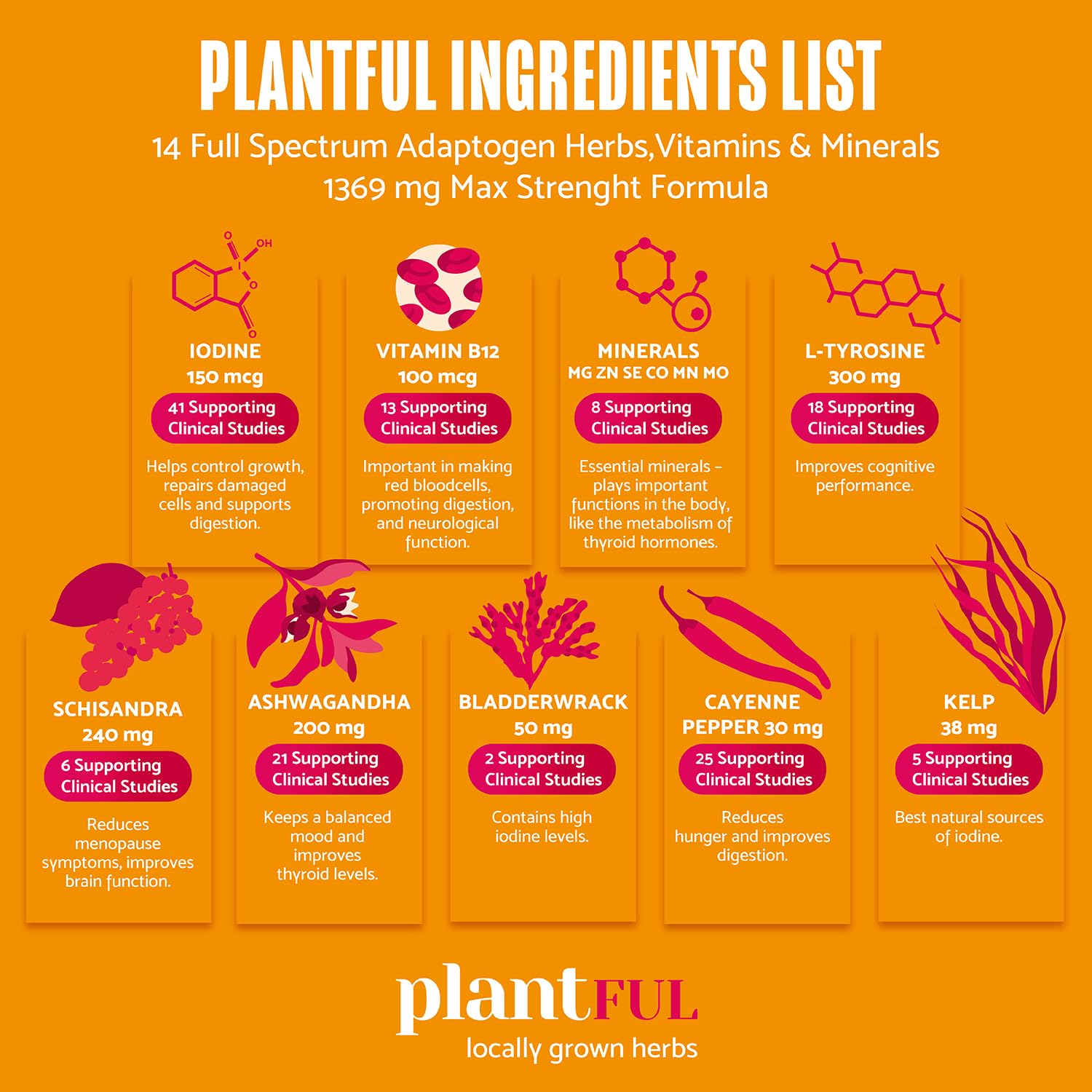 High-absorption iodine delivery illustration