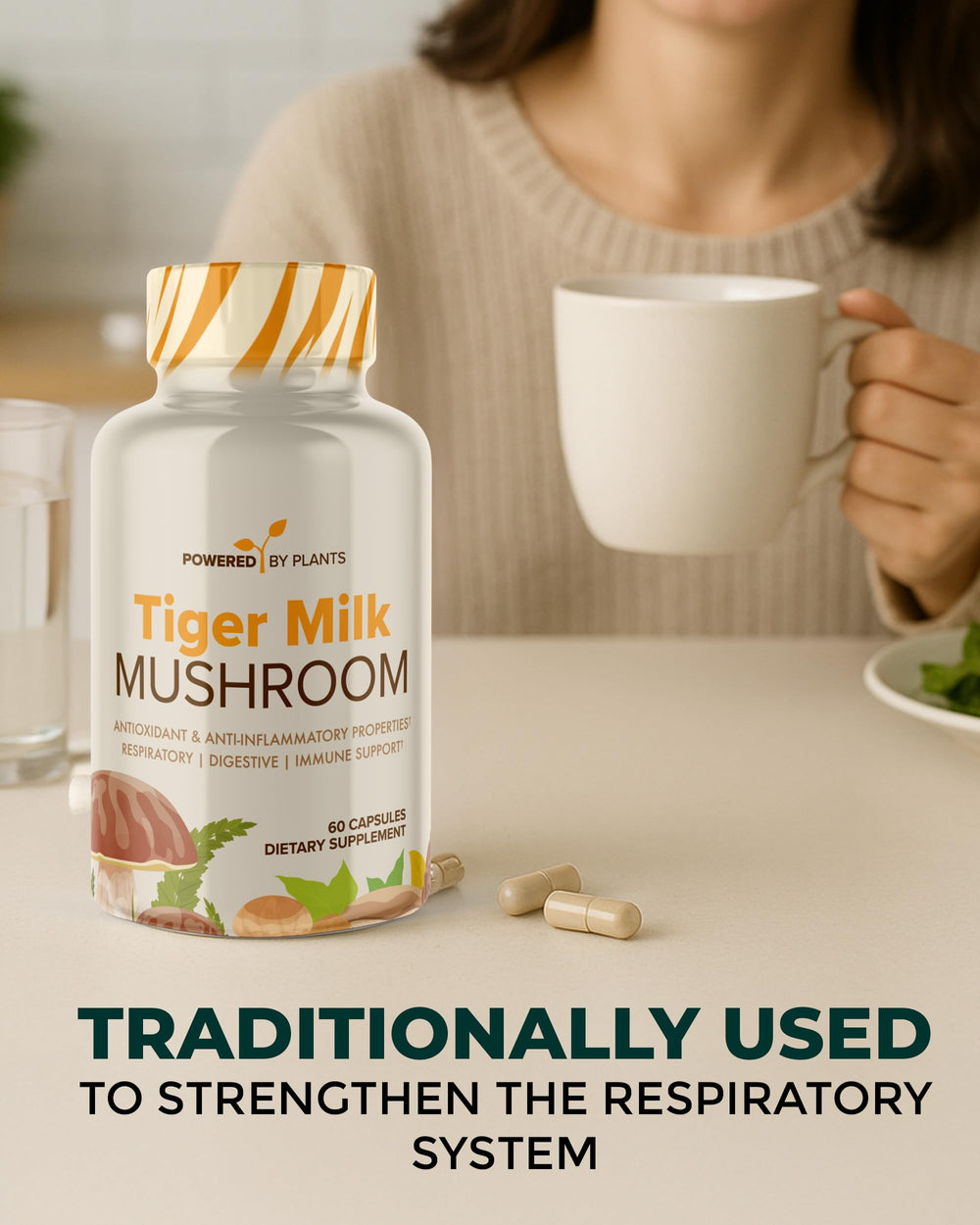 Digestive balance concept graphic featuring Tiger Milk Mushroom