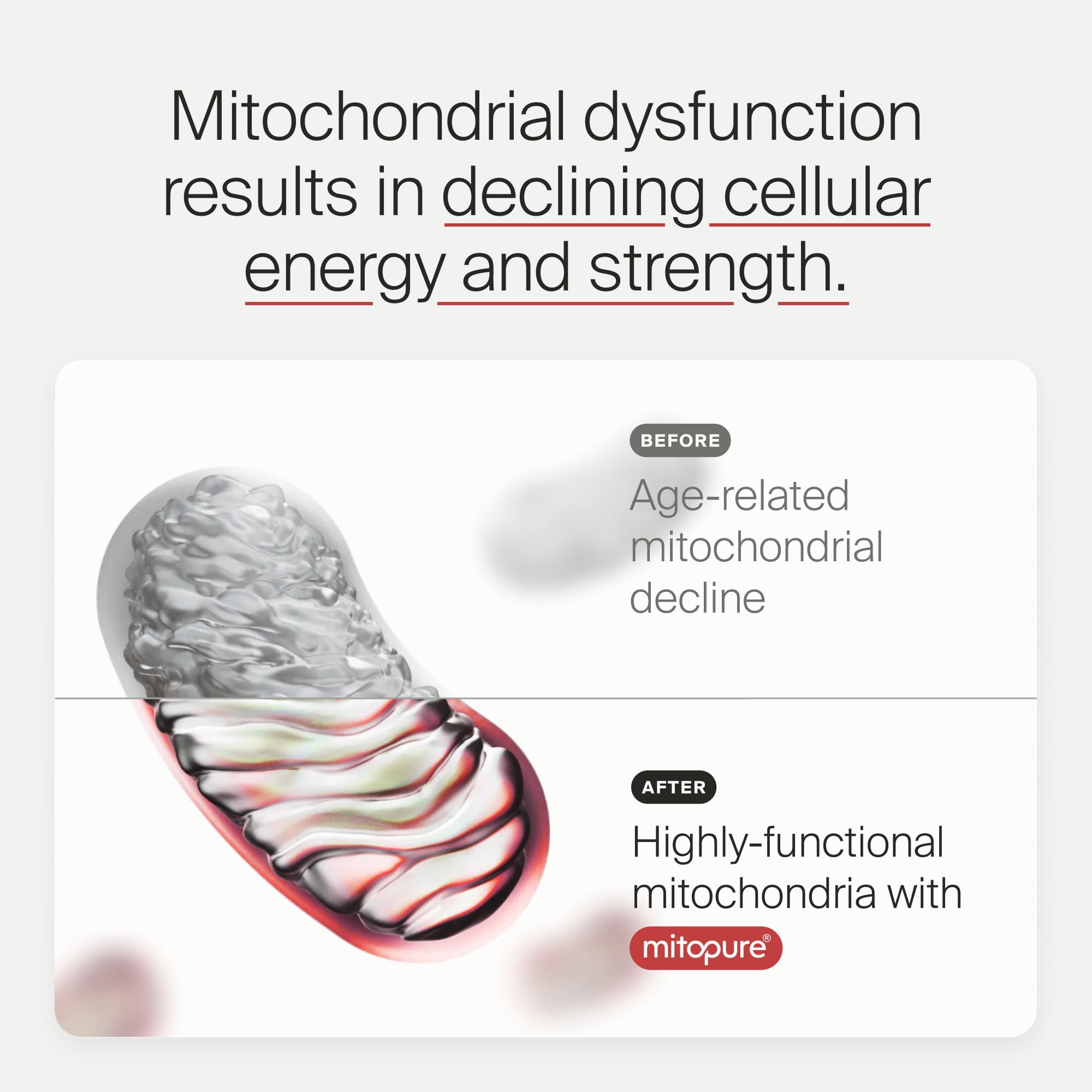 Timeline Mitopure Urolithin A Softgels ingredients panel