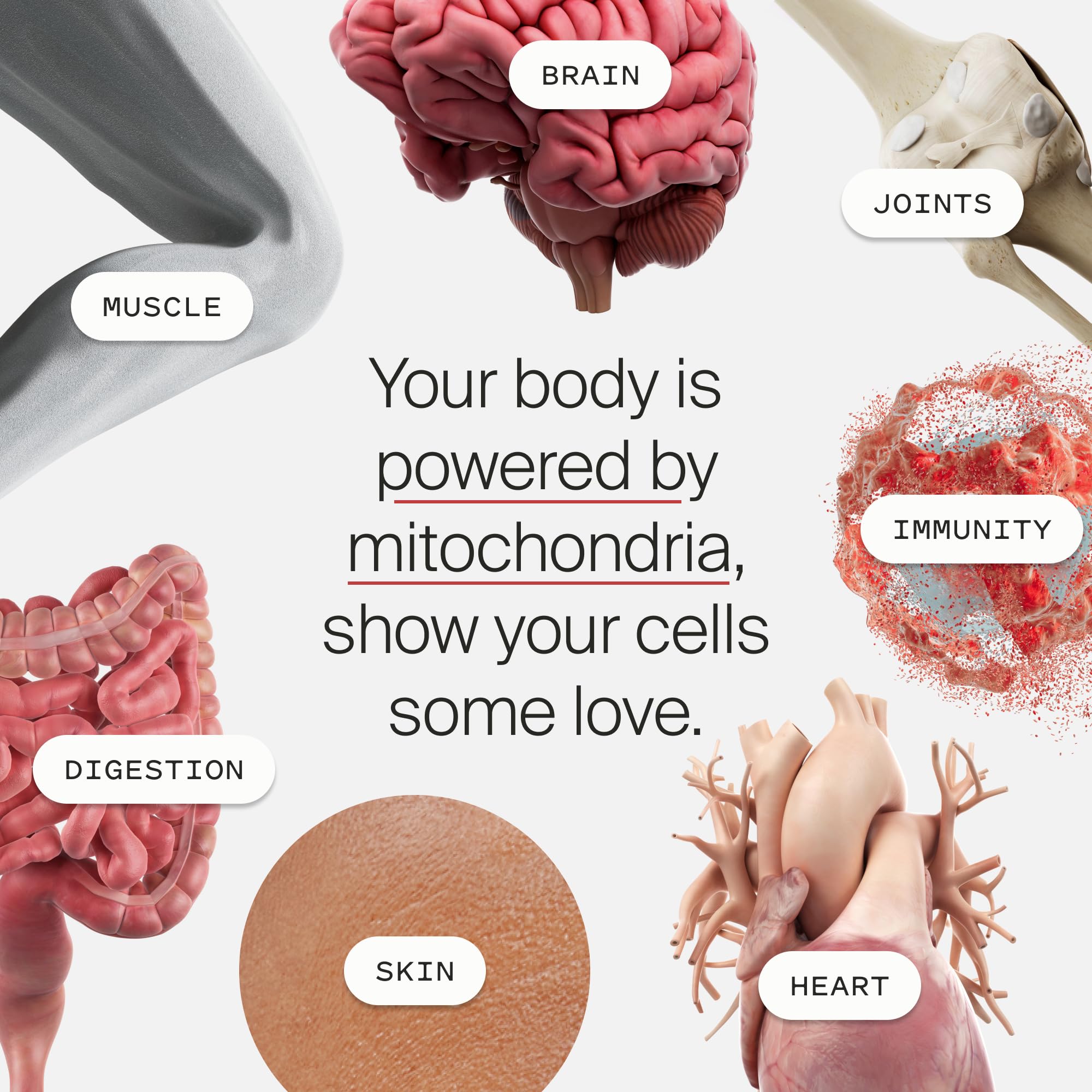 Made in the USA Timeline Mitopure Urolithin A Softgels packaging