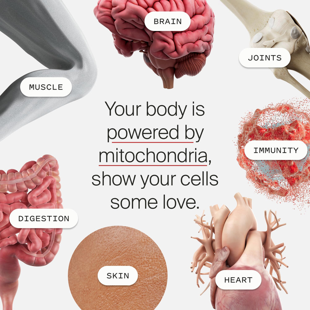 Made in the USA Timeline Mitopure Urolithin A Softgels packaging