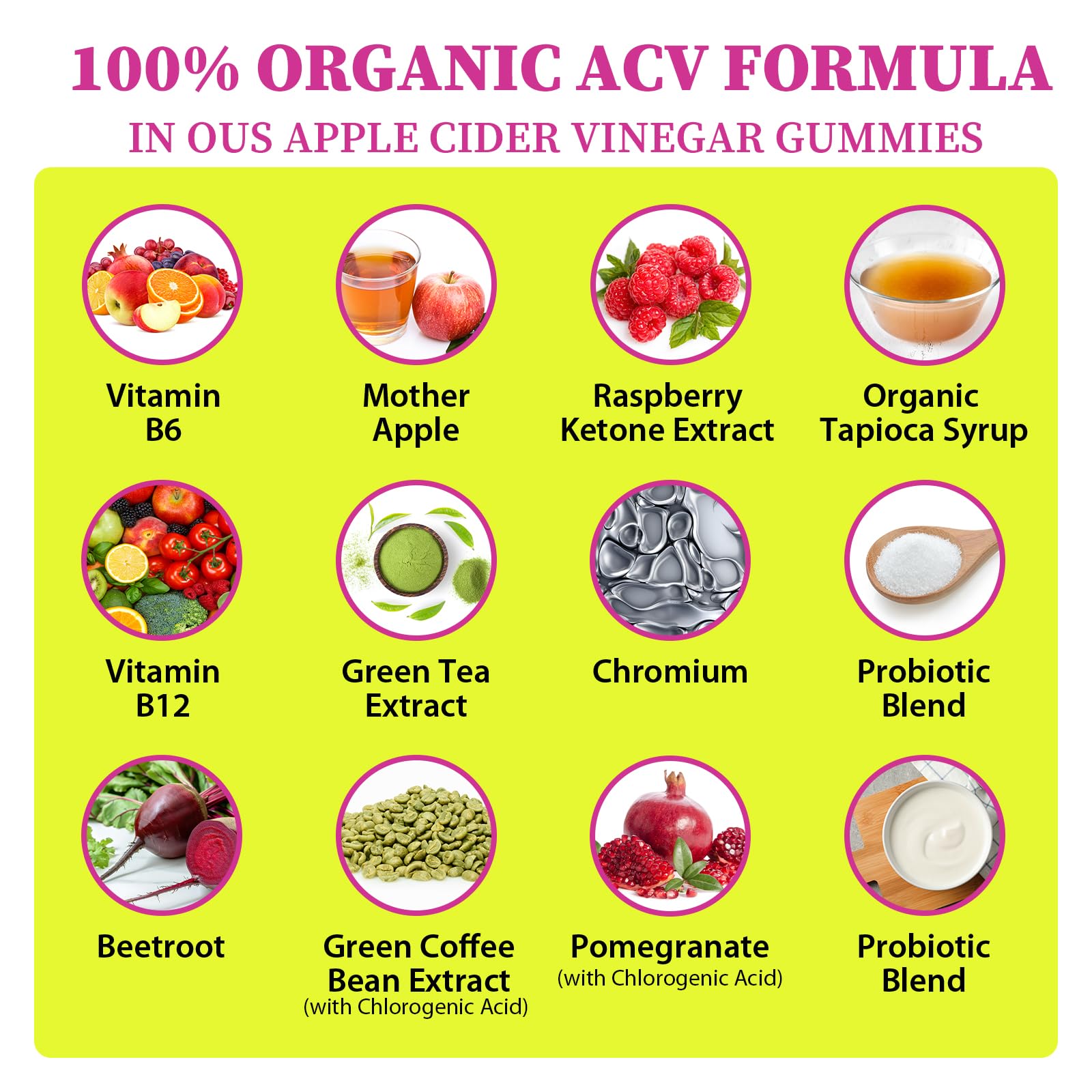 Tisestence ACV gummies green coffee bean imagery for metabolism support