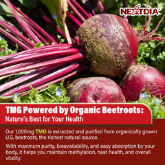 Bioactive B vitamins: methylfolate, B12, B6