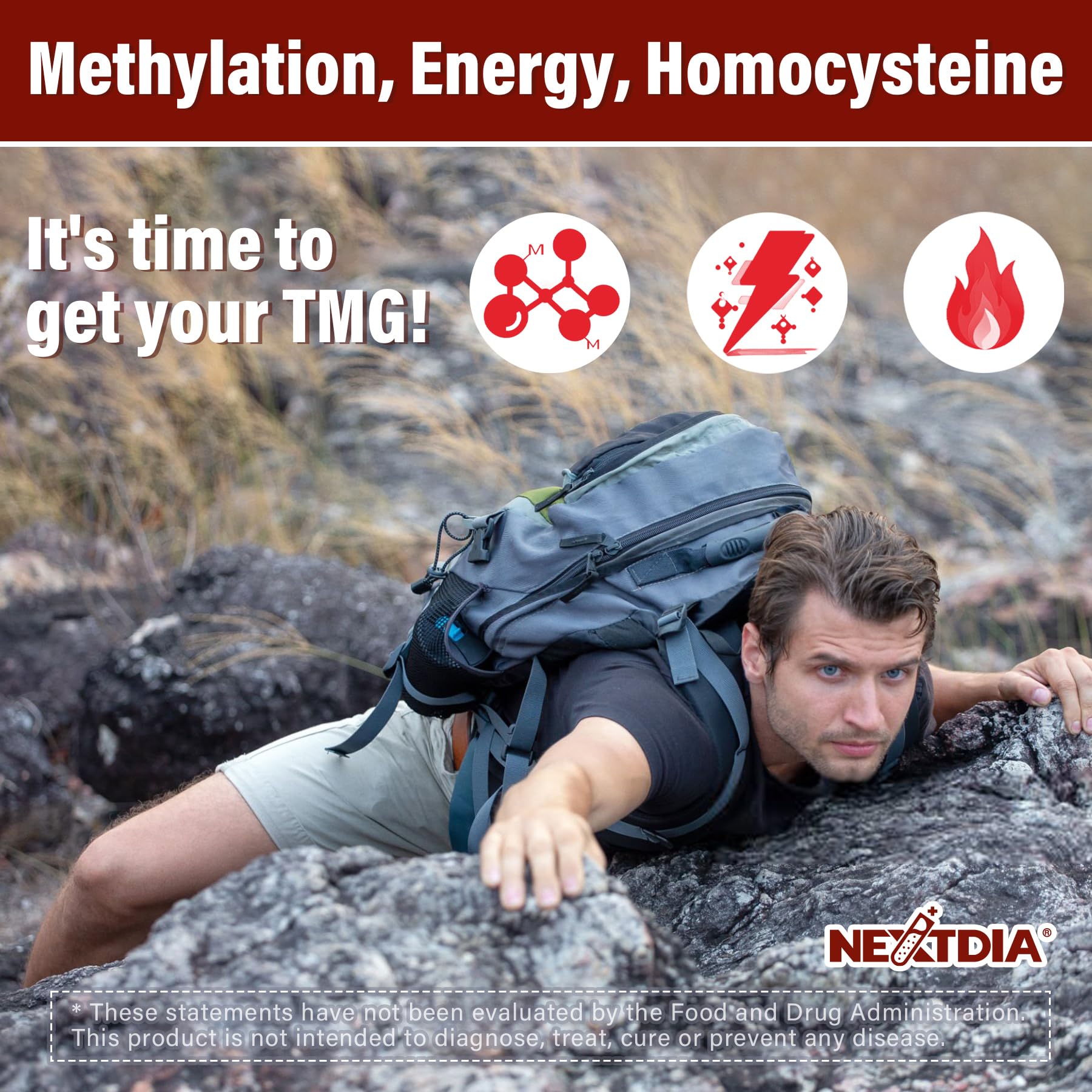 Infographic on bioavailability and absorption