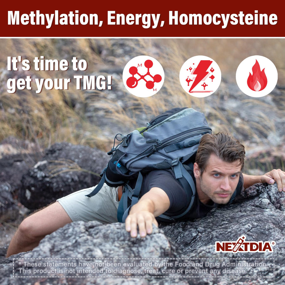 Infographic on bioavailability and absorption