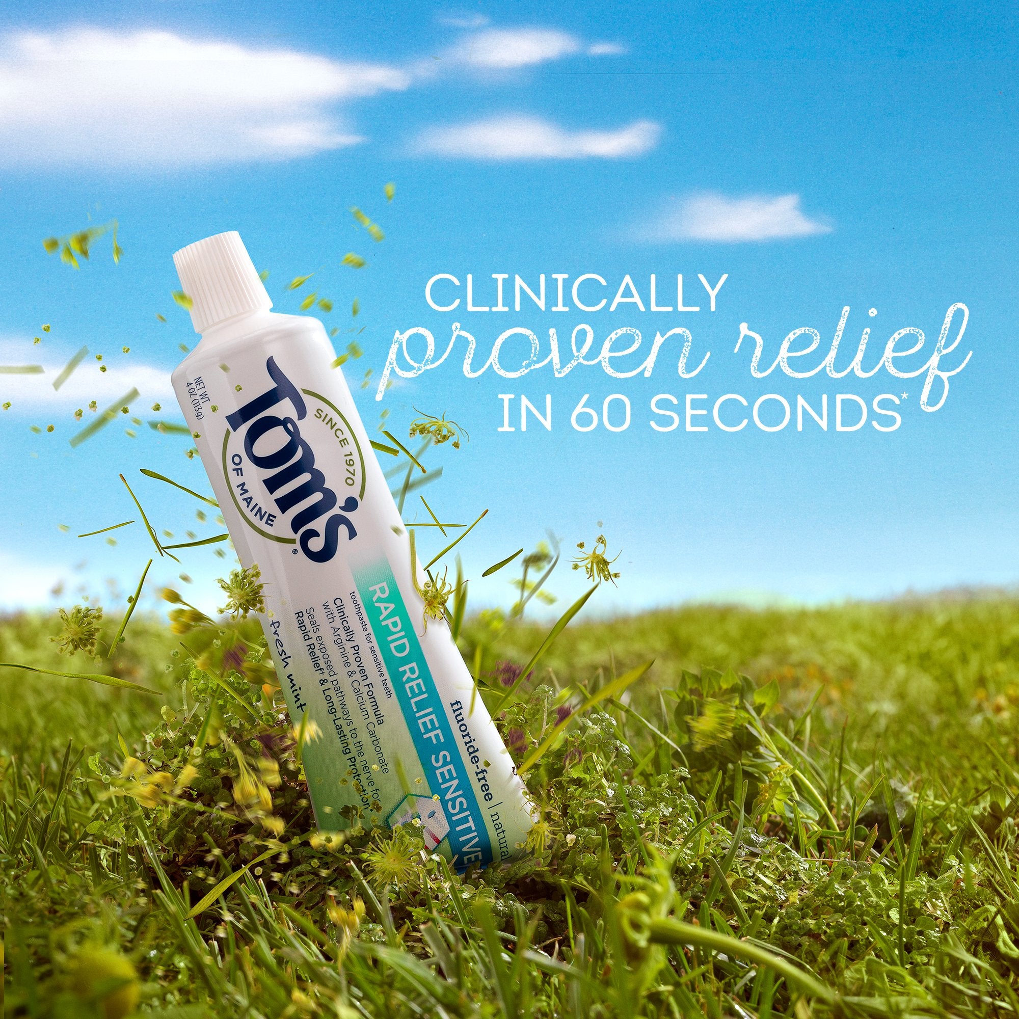 Cruelty-free Tom's of Maine toothpaste with no artificial colors or flavors