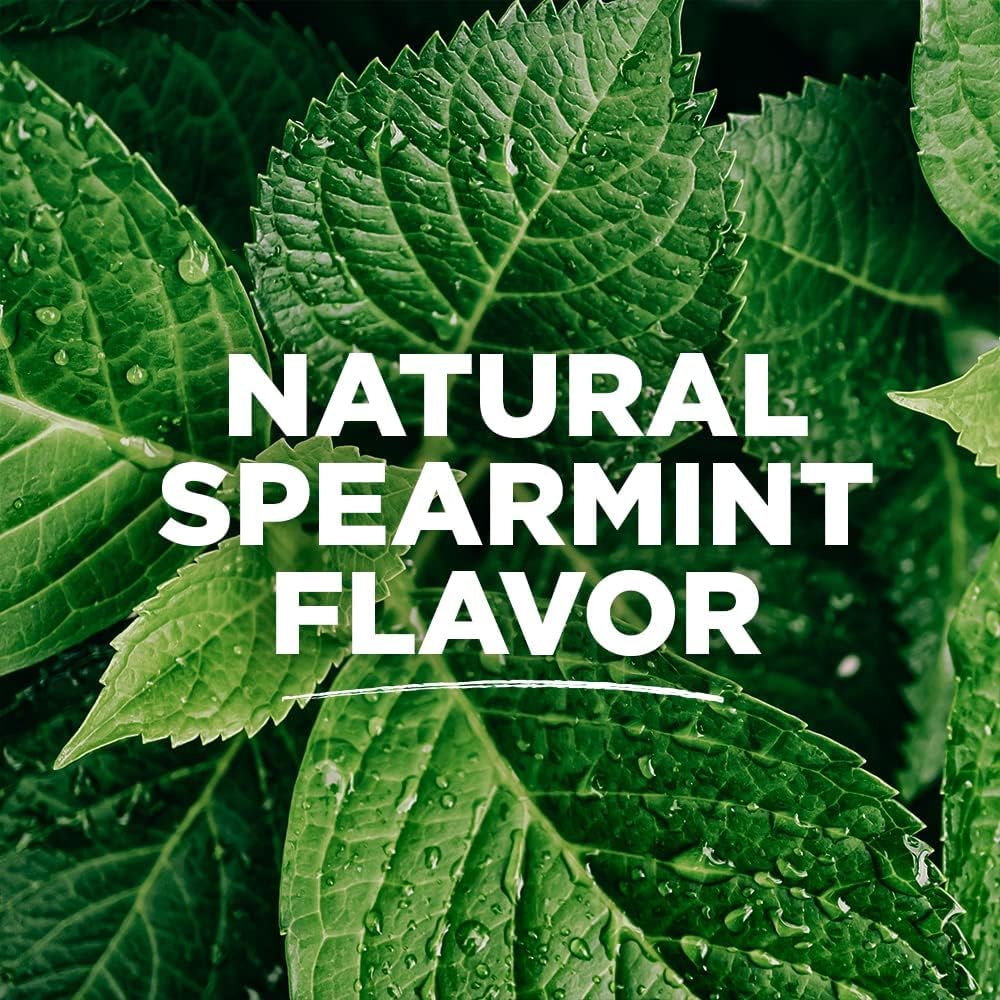 Spearmint flavor indicator on floss packaging