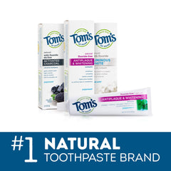Close-up of natural ingredients on Tom's of Maine Fresh Mint toothpaste