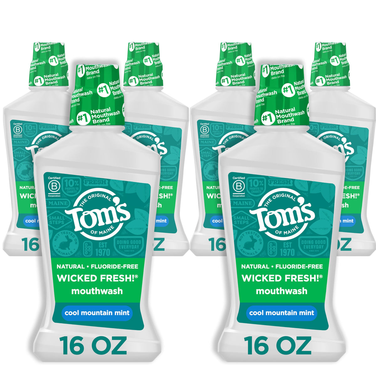 Six 16-ounce bottles of Tom's of Maine Wicked Fresh Natural Mouthwash in Cool Mountain Mint flavor front view