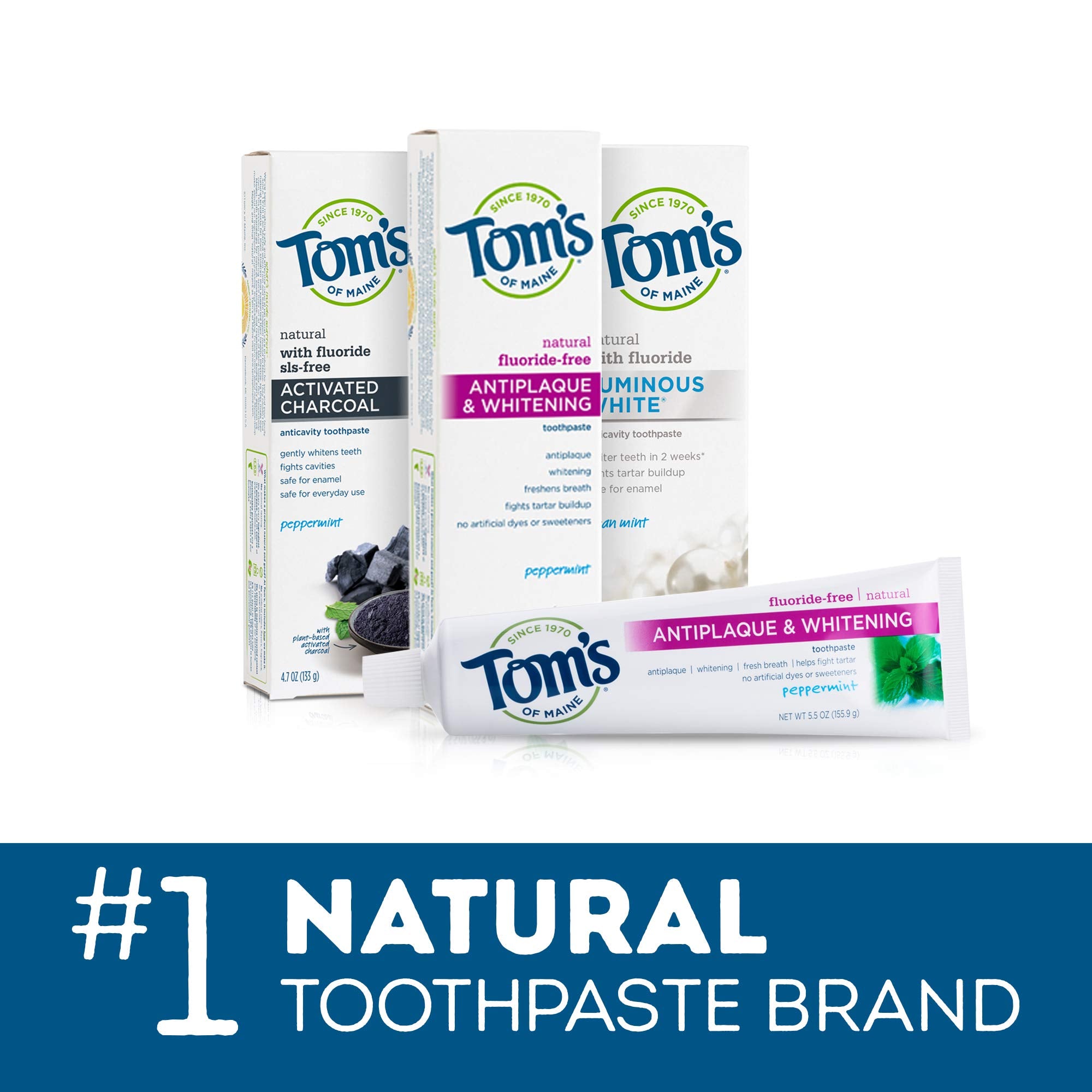 Close-up of fluoride content in Tom's of Maine toothpaste