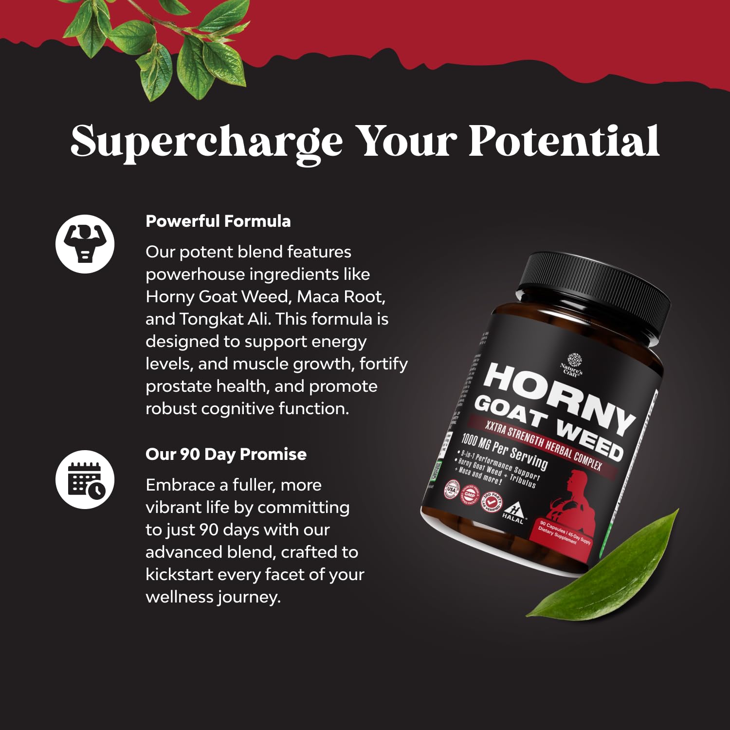 Herbal blend featuring Tongkat Ali, Panax Ginseng and Black Maca