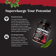 Herbal blend featuring Tongkat Ali, Panax Ginseng and Black Maca