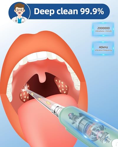 Rechargeable portable tonsil stone removal kit