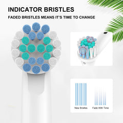 Snap-on toothbrush head with color ring for easy family use