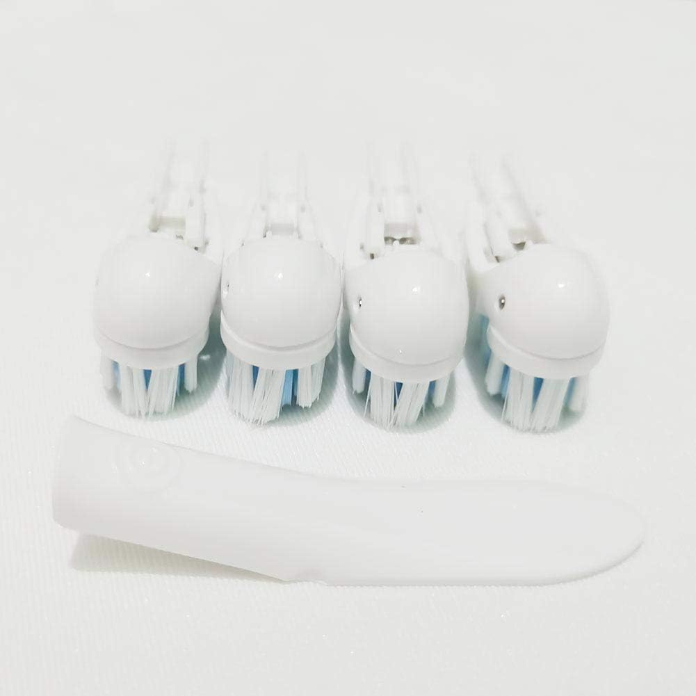 Brush head cleaning plaque from back teeth
