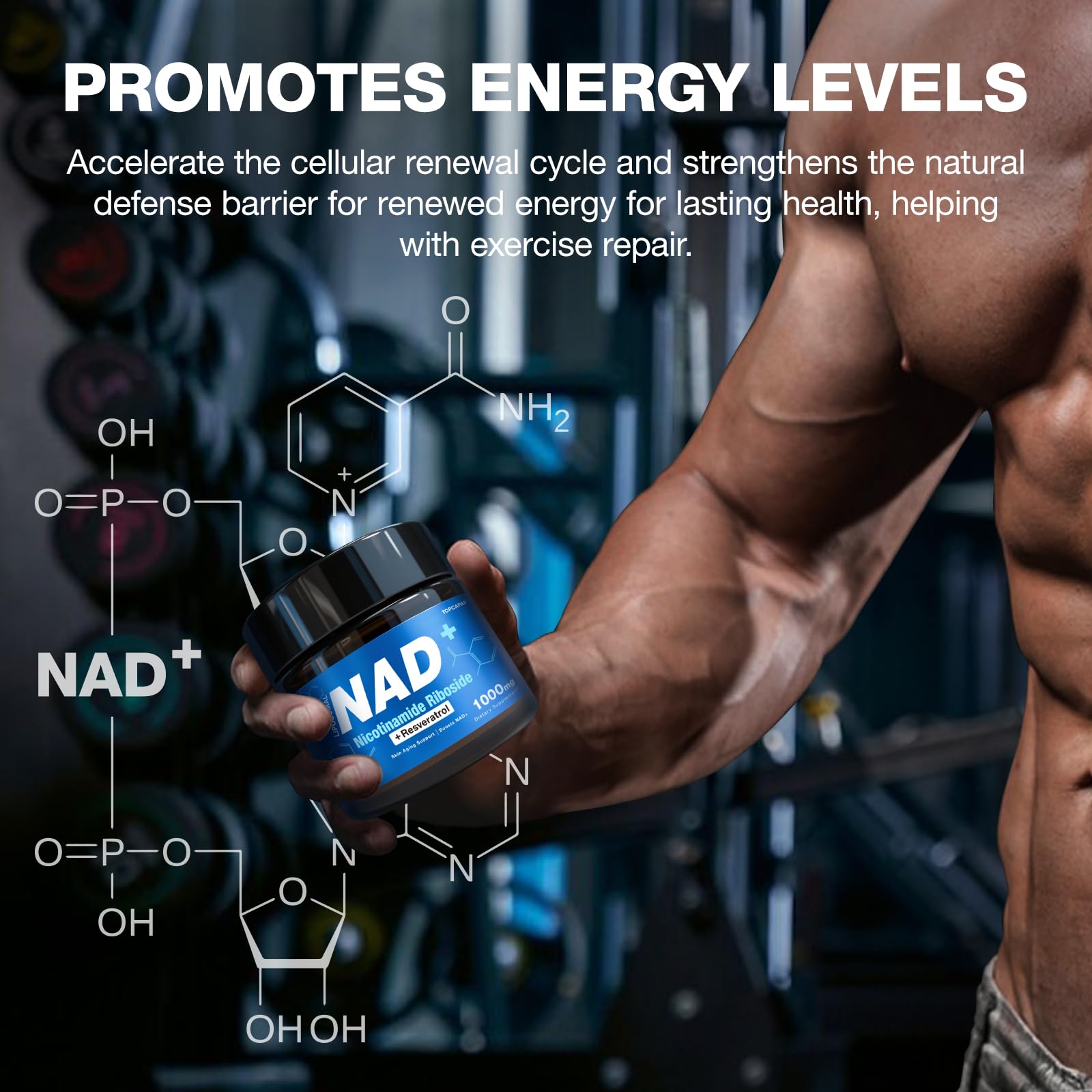 Brain health illustration associated with NAD+ benefits