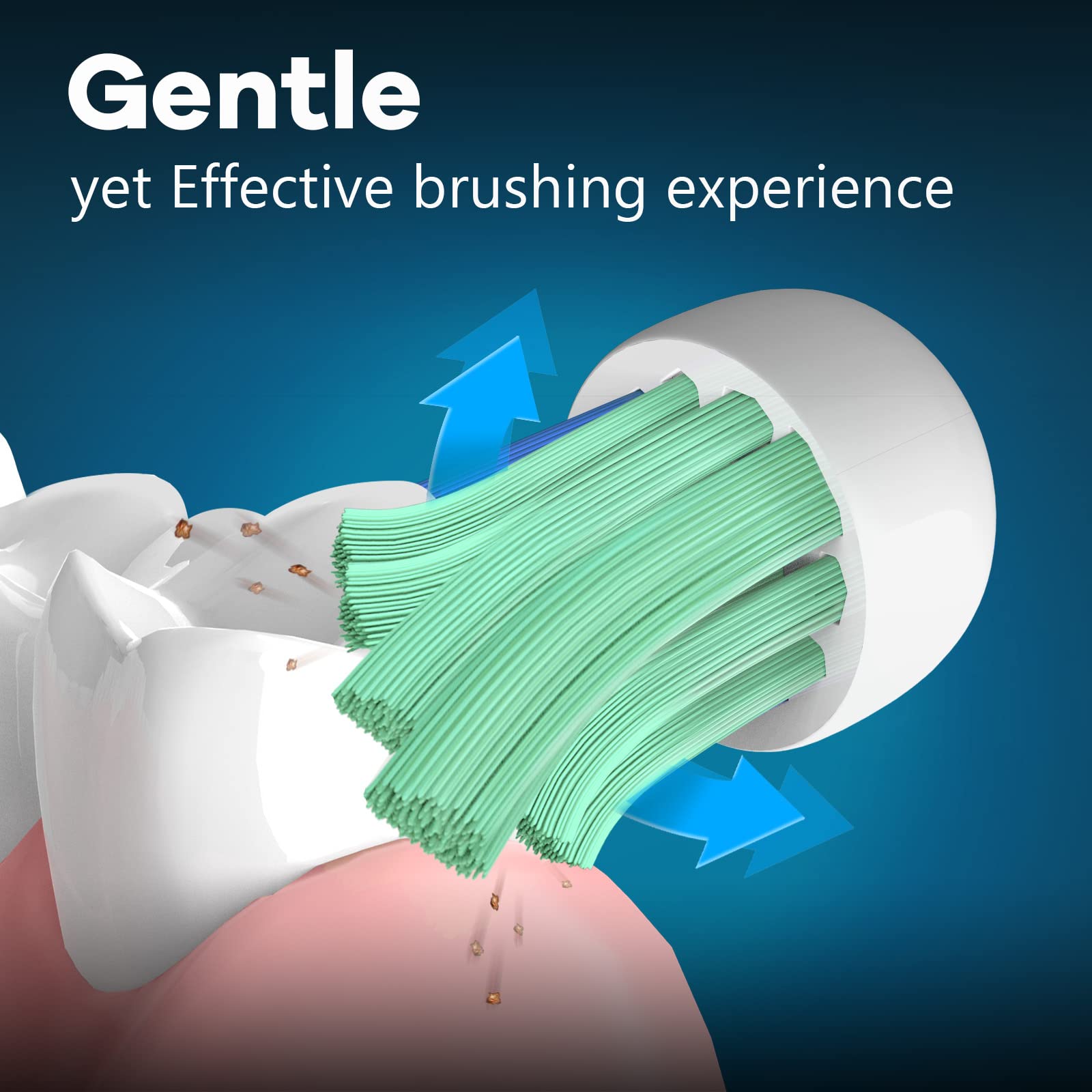 Easy installation of Toptheway replacement heads onto Philips Sonicare handle