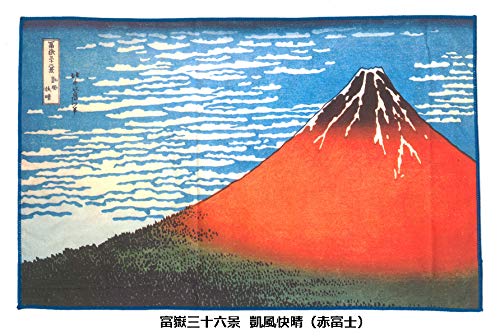 Close-up of TORAYSEE microfiber cleaning cloth