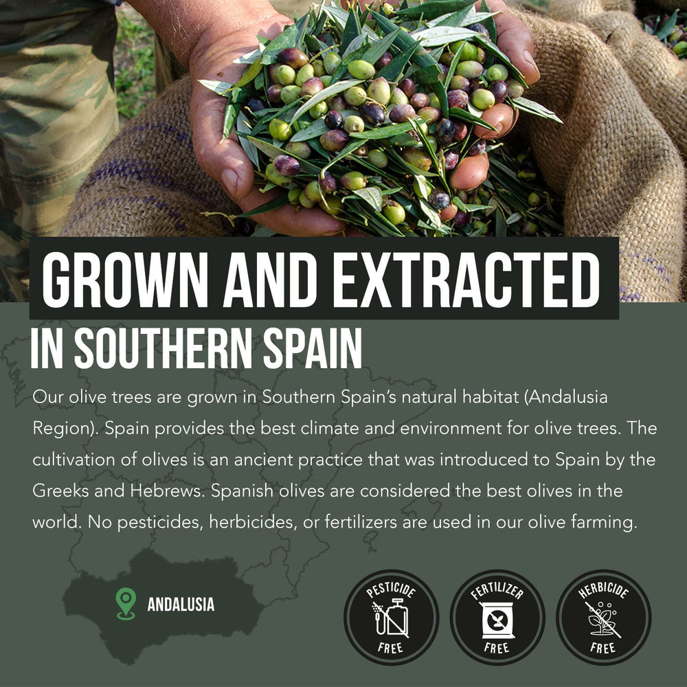 Total Olive Spain-Grown DNA Verified
