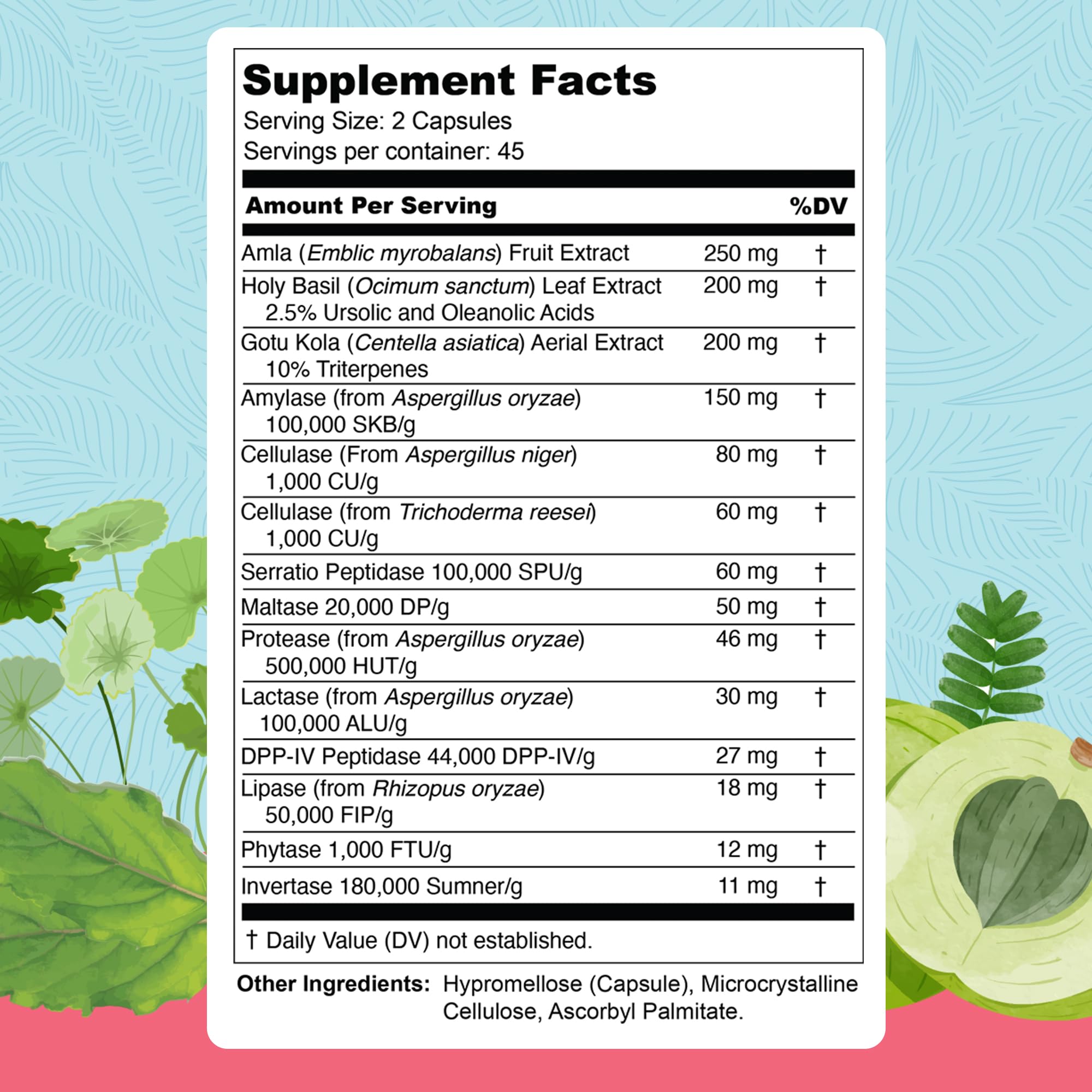 Close-up of the 13 digestive enzymes and ingredients included in Total Revive+.