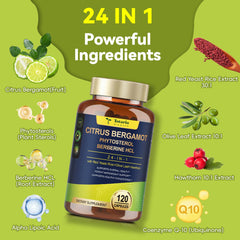 Bergamot supplement ingredients overview