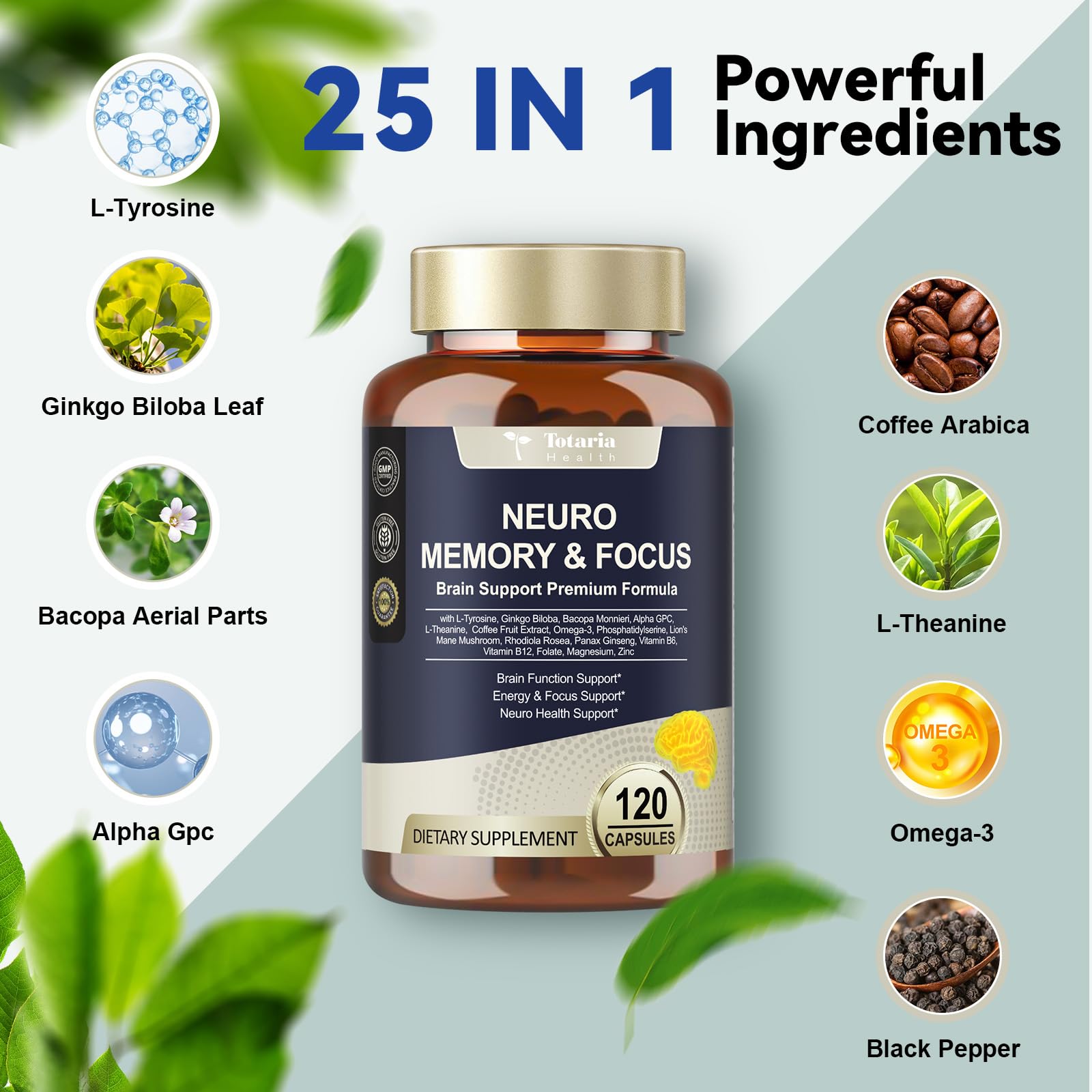 Ginkgo Biloba leaves and Bacopa Monnieri plant beside capsules