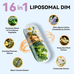 Diagram of liposomal absorption technology for DIM