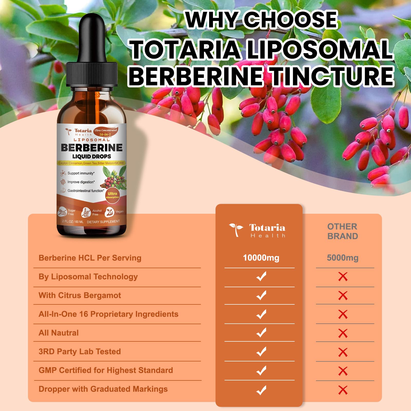 Illustration showing ingredients like cinnamon, green tea and bitter melon