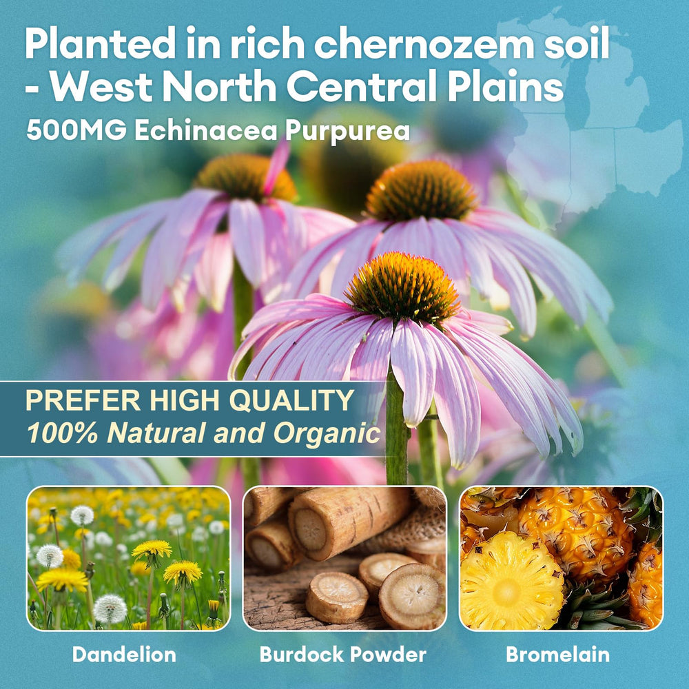 Totaria Lymph MD System Support packaging