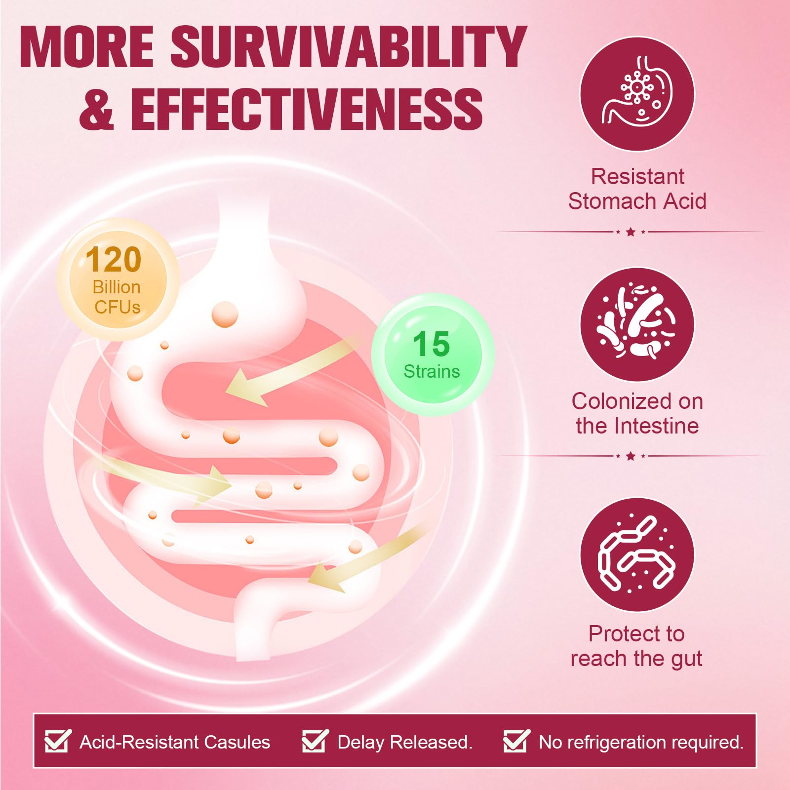 Women’s wellness probiotic blend graphic