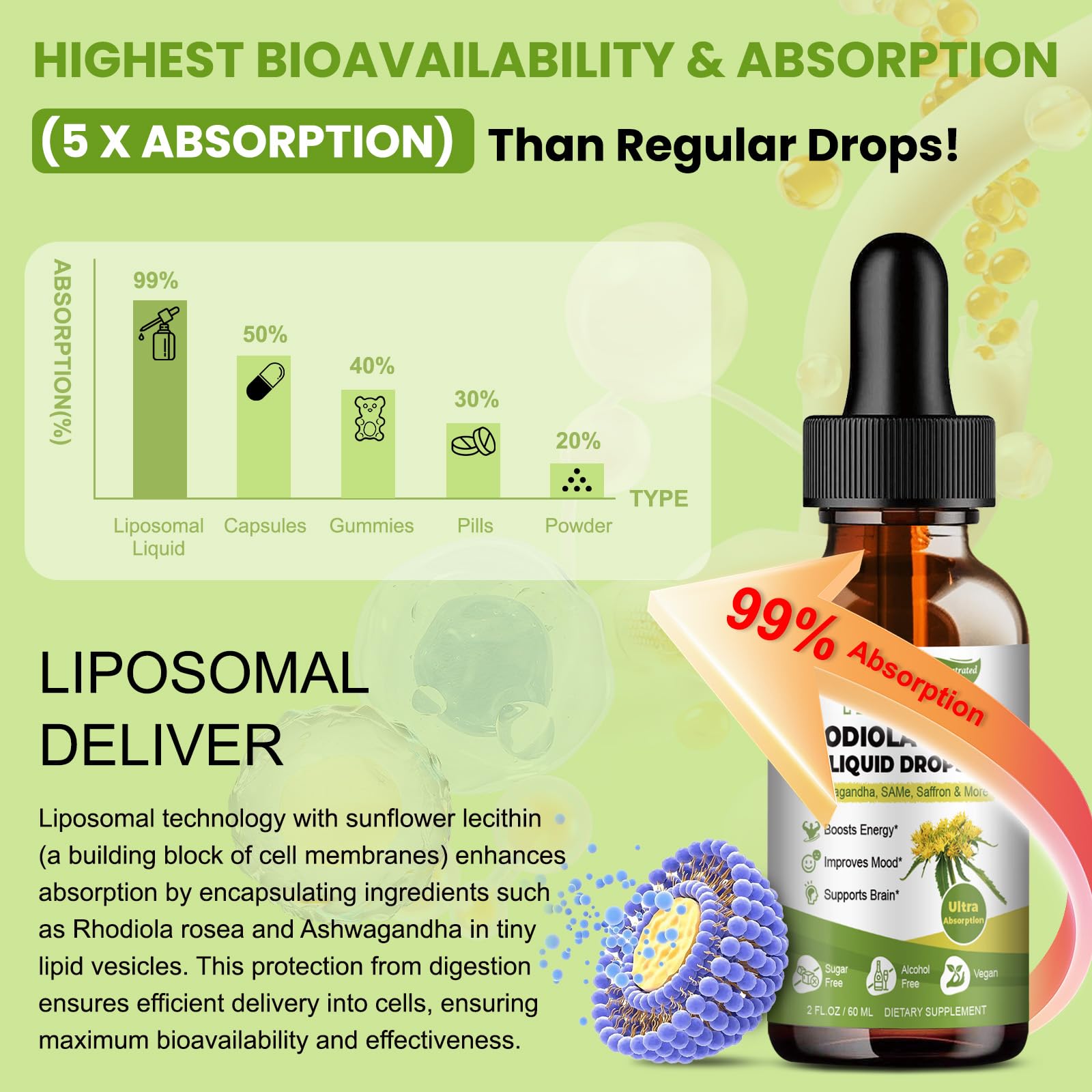 Alcohol-free liposomal tincture extraction