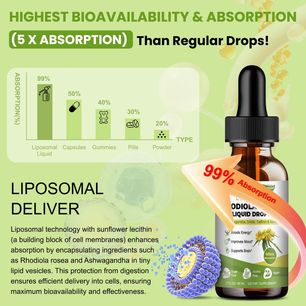 Alcohol-free liposomal tincture extraction