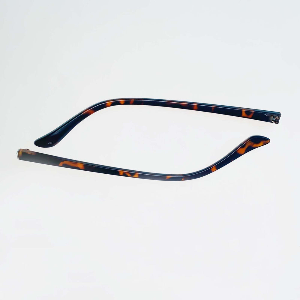 TR90 temple arms with screws