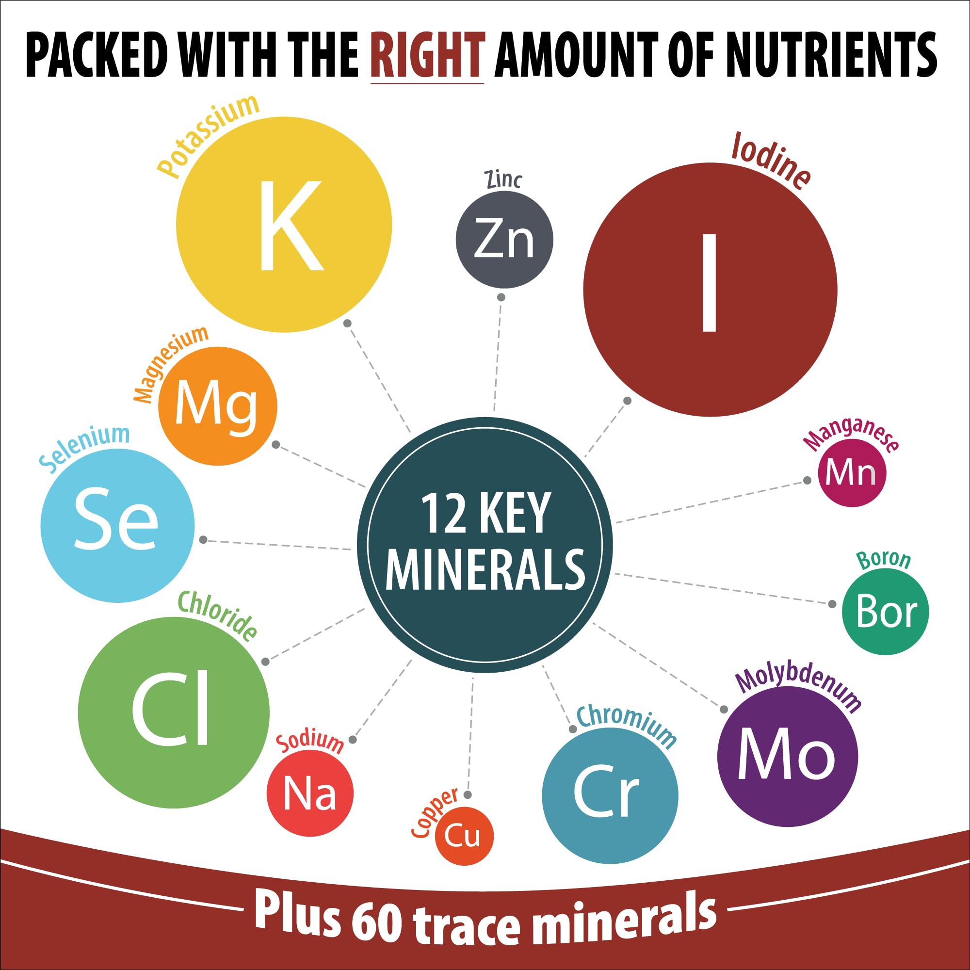 Graphic illustrating sea minerals from Utah's Great Salt Lake
