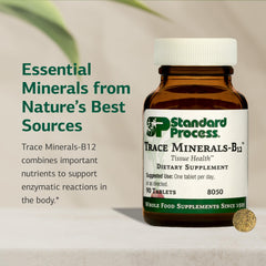 Graphic highlighting bone, cartilage and immune support from minerals