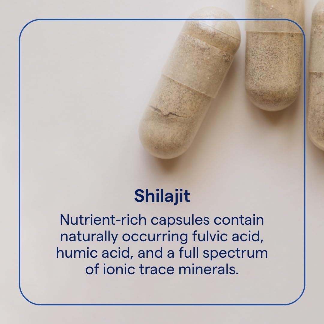 Close-up of Himalayan Shilajit resin