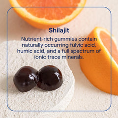 Packaging of Trace Minerals Shilajit Gummies